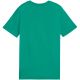 5. Koszulka Puma Team Goal Casuals Tee Jr 658616 05