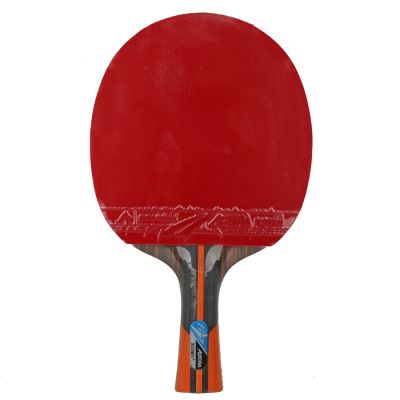 3. Rakietka do p-ponga Aurora PRO 6*  SG 6002