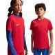 6. Koszulka dla dzieci Nike Dri-Fit Park VIII czerwona HV8182 657