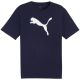 3. Koszulka Puma Team Rise Logo Jersey Cotton M 658705 06