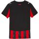 2. Koszulka dla dzieci Puma AC Milan Home Jersey Replica czarno-czerwona 779965 01
