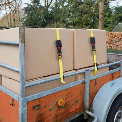 23. PAS MOCUJĄCY TRANSPORTOWY Z GRZECHOTKĄ AUTOMATYCZNĄ 250KG 4M