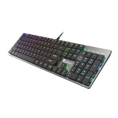 9. GENESIS Thor 420 RGB klawiatura Gaming USB AZERTY US English Srebrny