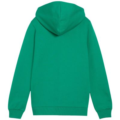 2. Bluza dla dzieci Puma teamGoal Casuals Hooded zielona 658596 05