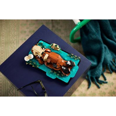 15. LEGO Ideas 21366 - Pływające wydry