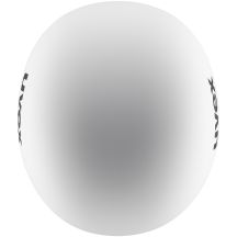 Kask narciarski UVEX Race 4