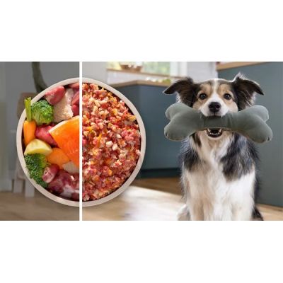 16. Maszynka do mielenia BOSCH MFW S650B