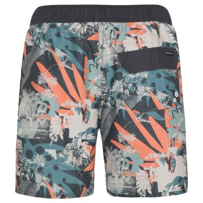 3. Spodenki męskie Protest PRTARYF beachshort (P2710621/672)