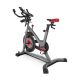 17. Rower Spinningowy Schwinn IC8