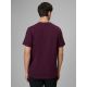 2. T-shirt regular z nadrukiem męski 4F 4FRSS26TTSHM3810-50S