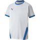 5. Koszulka Puma teamGOAL 23 Jersey Jr 704160 12