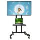 Stand wózek do TV Maclean, profesjonalny, na kółkach, max 32-65", max 40kg, MC-739