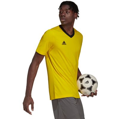 Koszulka adidas Entrada