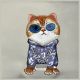 3. Torba na ramię Nimmy Crossbody Glasses Cool Cat - szara