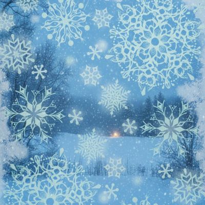 NAKLEJKA NA OKNO 30x42 CM