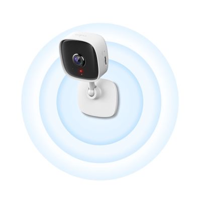 2. KAMERA TP-LINK Tapo C100