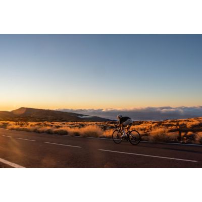 2. Rogelli spodenki men SIGNATURE beżowe S