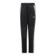 Spodnie adidas Tiro 24 Winterized Jr IM9975