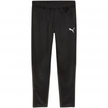 Spodnie Puma Team Goal Training M 658639 03