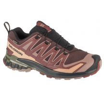 Buty do biegania Salomon XA Pro 3D v9 GTX M L47583500