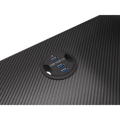 4. GENESIS BIURKO GAMINGOWE HOLM 300 RGB