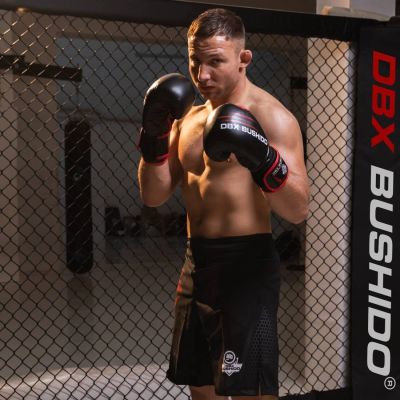 4. Rękawice bokserskie 14oz - Ninja - Legacy Series