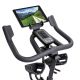 15. Rower Spinningowy Schwinn IC8