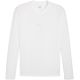 Koszulka męska Puma TeamGOAL Baselayer Tee Longsleeve biała 658777 04
