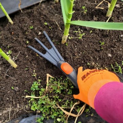 5. PAZURKI KULTYWATOR OGRODOWY