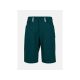 Szorty męskie PEAK PERFORMANCE M Iconiq Mtb Shorts kolor zielony