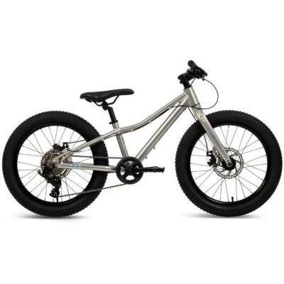 Rower MTB Batch Alu 20” silver (B374555W)