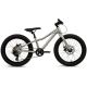 Rower MTB Batch Alu 20” silver (B374555W)
