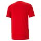 4. Koszulka Puma Active Small Logo Tee M 586725 11