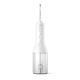 20. Irygator PHILIPS HX 3826/31