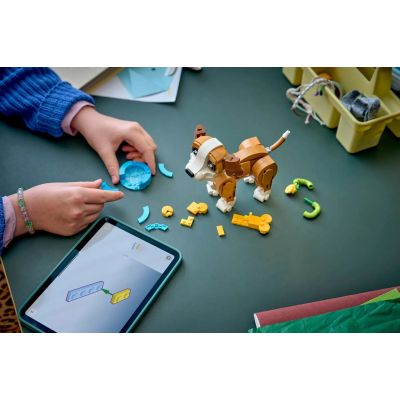 11. LEGO Creator 31382 Zabawny szczeniak