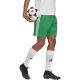 3. Spodenki adidas Squadra 21 Short M GN5769