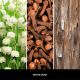 3. Perfumy do wnętrz 100ml WHITE MUSK MILLEFIORI