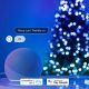 4. Twinkly Candies – 200 Lampki w kształcie świeczki RGB LEDs, zielony przewód, USB-C