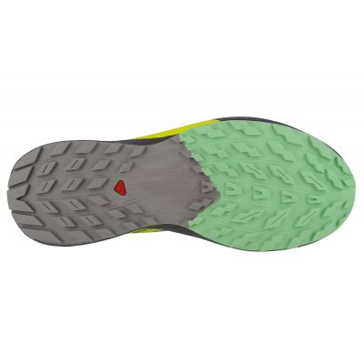 4. Buty do biegania Salomon Sense Ride 5 M 471442