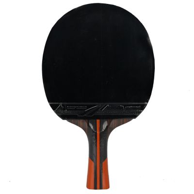 4. Rakietka do p-ponga Aurora PRO 6*  SG 6002