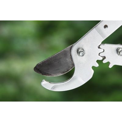 3. Verto 15G256 Sekator ogrodowy do gałęzi