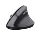 Mysz TRUST BAYO II ERGONOMIC WIRELESS MOUSE BLK (25145)