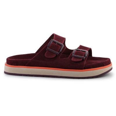 6. Klapki D.Franklin Nordic Sandal Buckle W DFSH405004-BURG