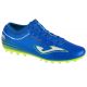 Buty Joma Evolution 2404 AG M EVOS2404AG