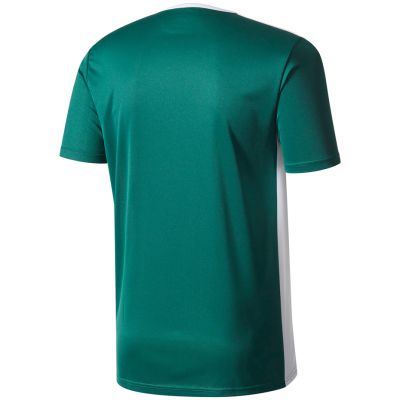 2. Koszulka adidas Entrada 18 Jr CD8358