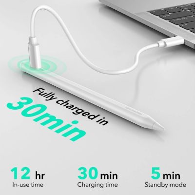 4. Rysik ESR Geo Digital - biały