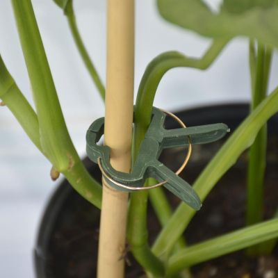 12. SPINKI KLIPSY DO ROŚLIN 20SZT PROGARDEN