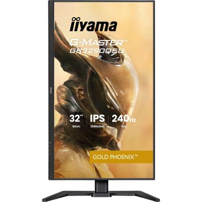 45. Monitor IIYAMA 80,0 cm (31,5") GB3290QSU-B1 16:9 2xHDMI+DP+2xUSB-C