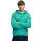 Bluza męska Puma ESS No.1 Logo Centered Hoodie zielona 692914 40