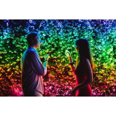 10. Inteligentne lampki choinkowe Twinkly 250 RGB+W 20m